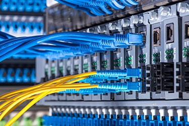 Fiber Optic Cables and UTP Network Cables Connected to Hub Ports